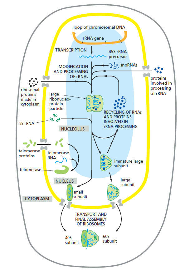 Figure 6-45.png